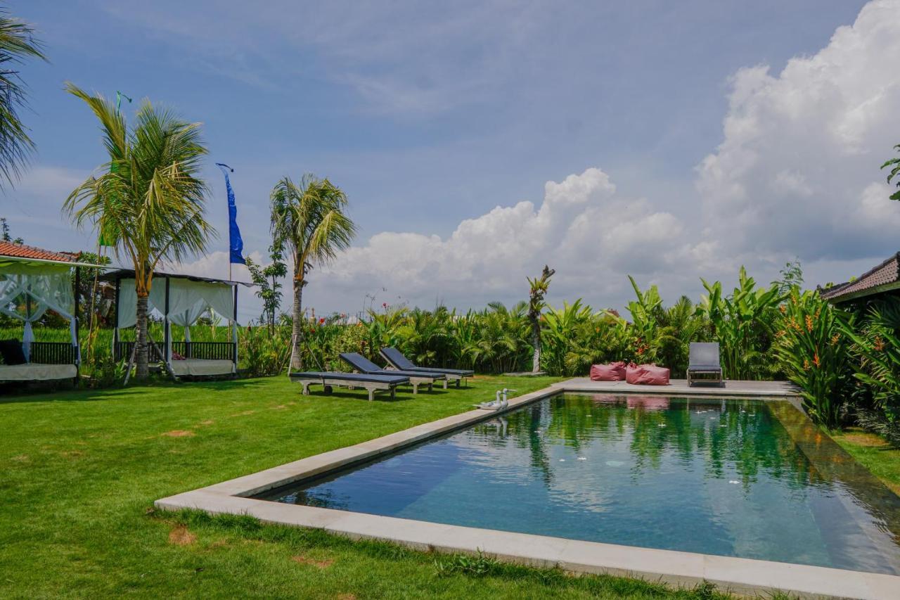 Villa Alisha Pererenan Canggu Екстер'єр фото
