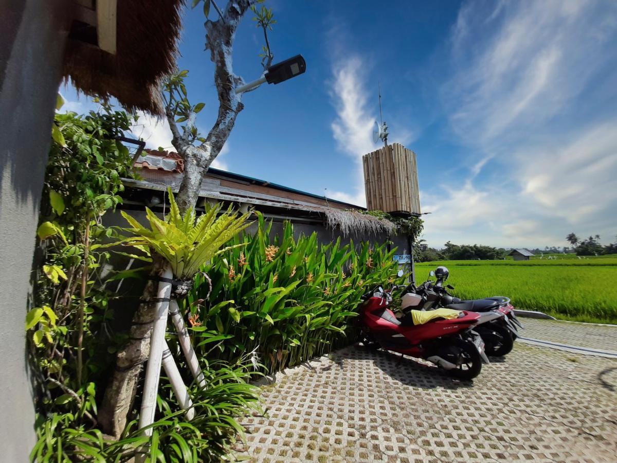 Villa Alisha Pererenan Canggu Екстер'єр фото