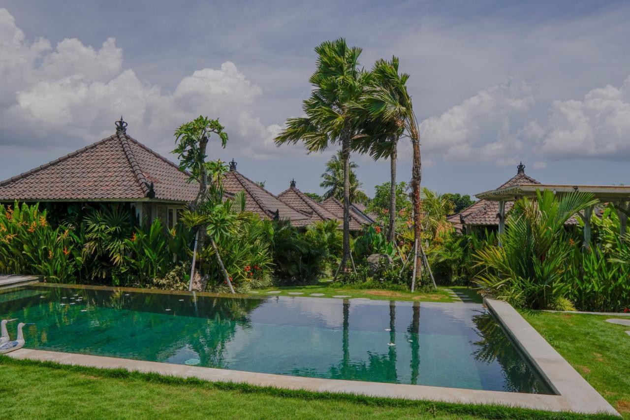 Villa Alisha Pererenan Canggu Екстер'єр фото