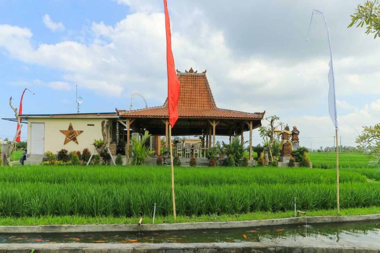 Villa Alisha Pererenan Canggu Екстер'єр фото